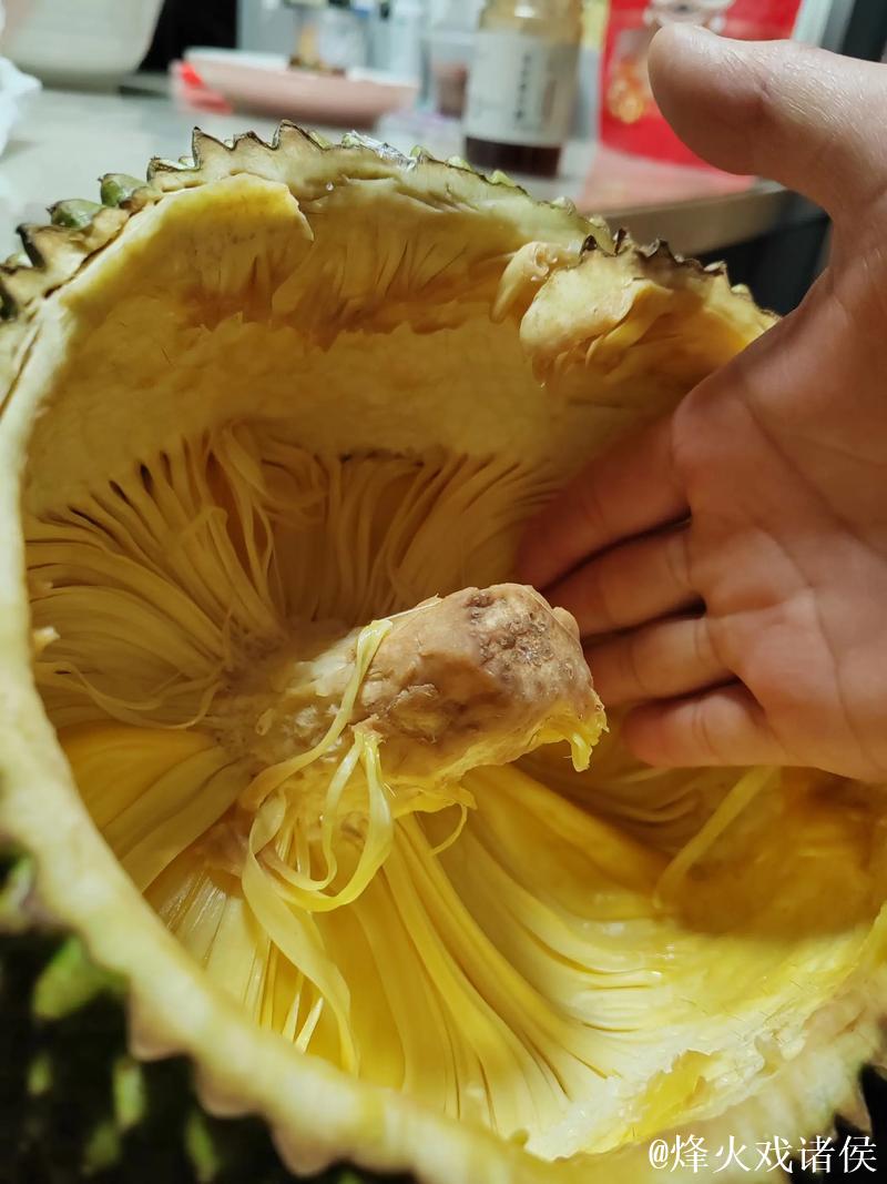 菠萝蜜午夜视频