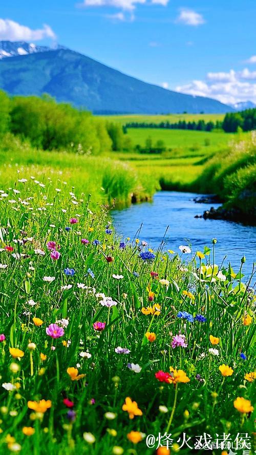 青青青青青草的诗意芬芳与自然之美