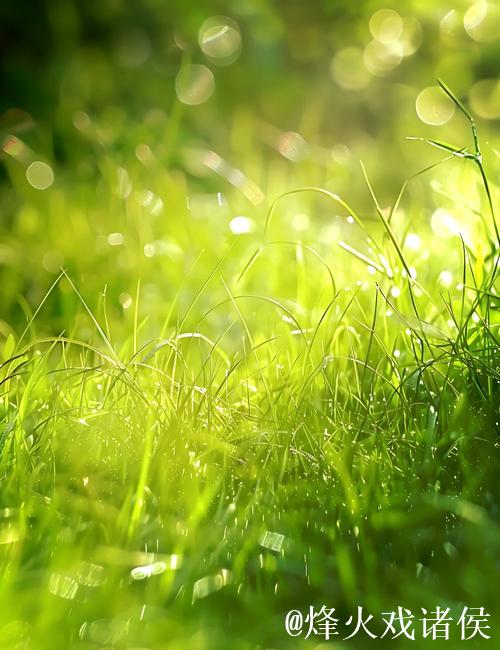 青青青青青草的诗意芬芳与自然之美